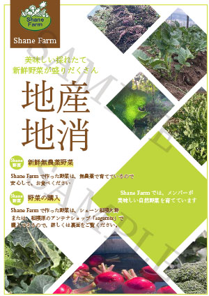 野菜販売のフライアー(サンプル)