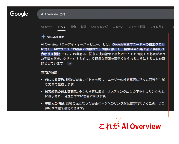 AI Overview